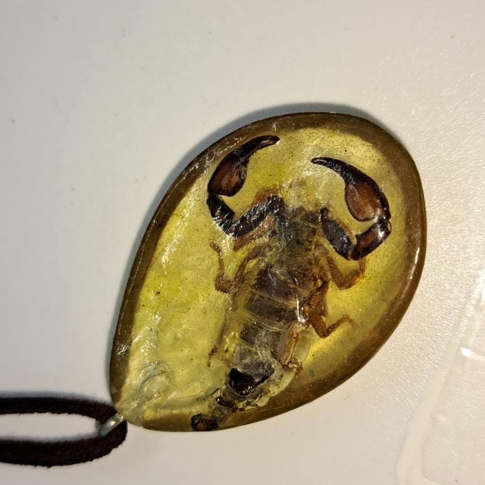 Scorpion In Resin Necklace